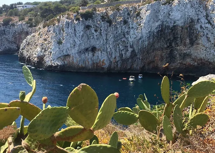 Гостевой дом Il Melograno 3*